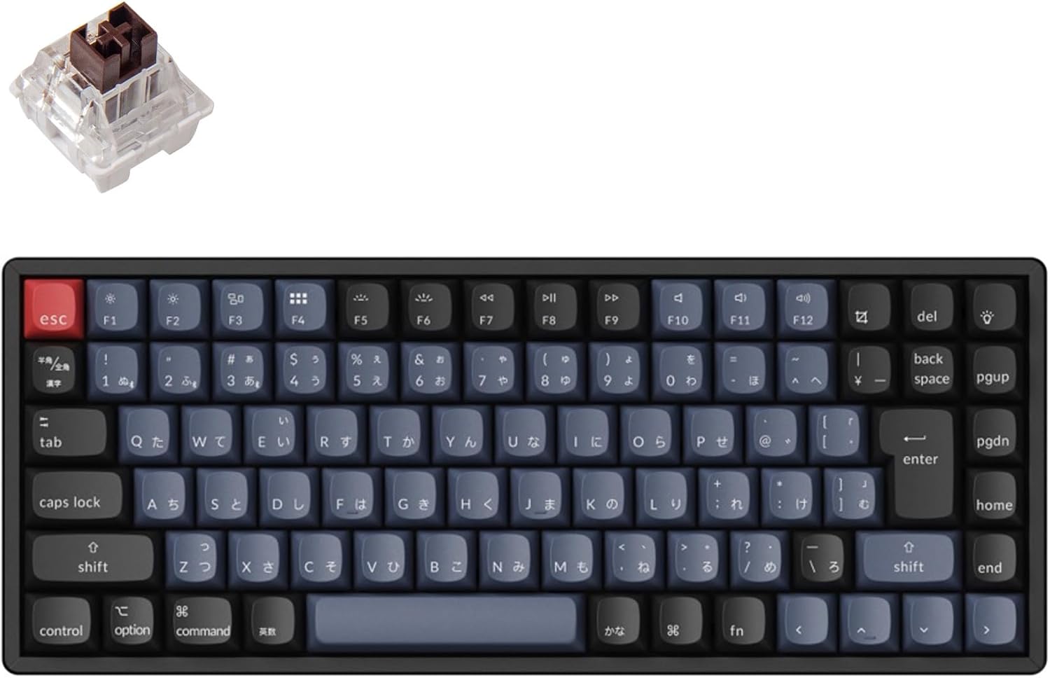 keychron どこの国のメーカー？評判と実力まとめ